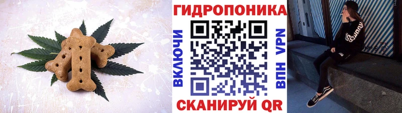 купить наркотики цена  Сурск  Печенье с ТГК конопля 