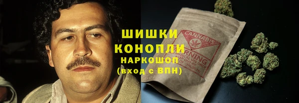 МДПВ Богородицк