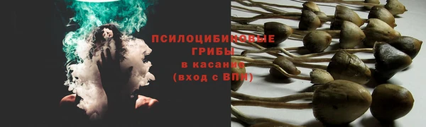 гидра Богданович