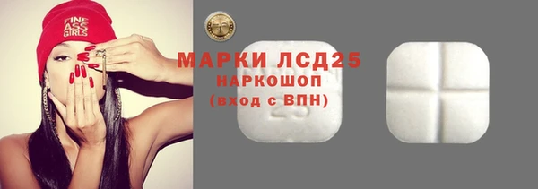 гидра Богданович