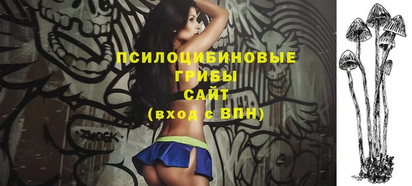 гидра Богданович