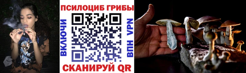 Галлюциногенные грибы Psilocybine cubensis  нарко площадка официальный сайт  Сурск 
